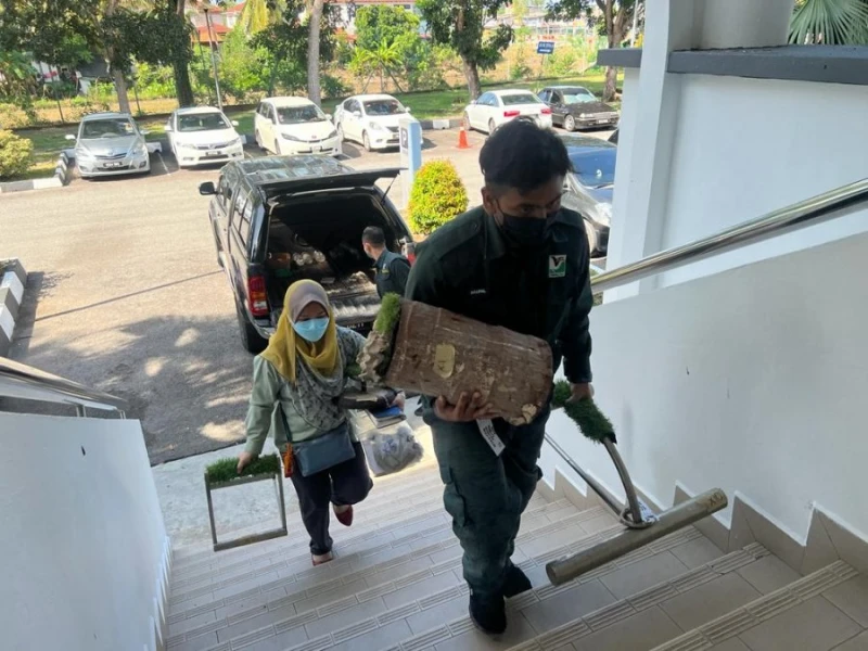 被控非法藏有受保護鳥類 華裔男判罰RM60000