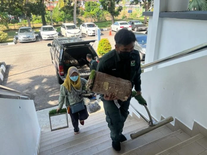 被控非法藏有受保護鳥類  華裔男判罰RM60000