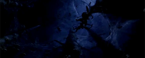 害怕不敢玩？《霍格沃茨之遺》或推出蜘蛛恐懼症模式