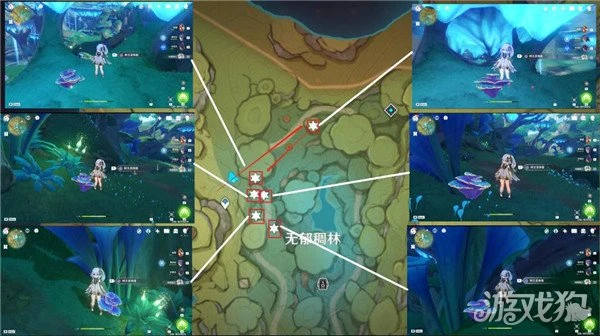 原神樹王聖體菇採集路線 流浪者突破材料