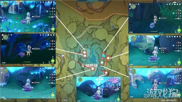 原神樹王聖體菇採集路線 流浪者突破材料