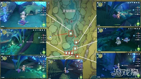 原神樹王聖體菇採集路線 流浪者突破材料