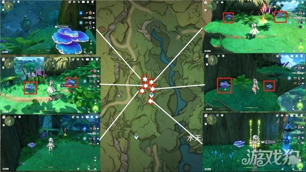 原神樹王聖體菇採集路線 流浪者突破材料