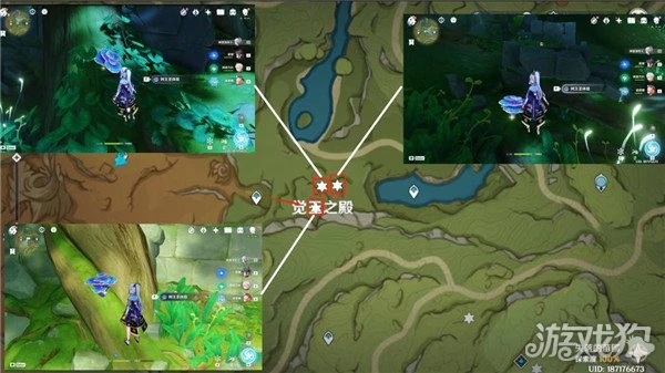 原神樹王聖體菇採集路線 流浪者突破材料