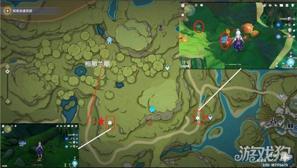 原神樹王聖體菇採集路線 流浪者突破材料