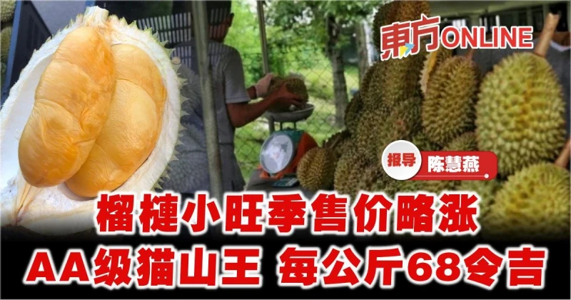 榴槤小旺季售價略漲　雙A級別貓山王每公斤68令吉