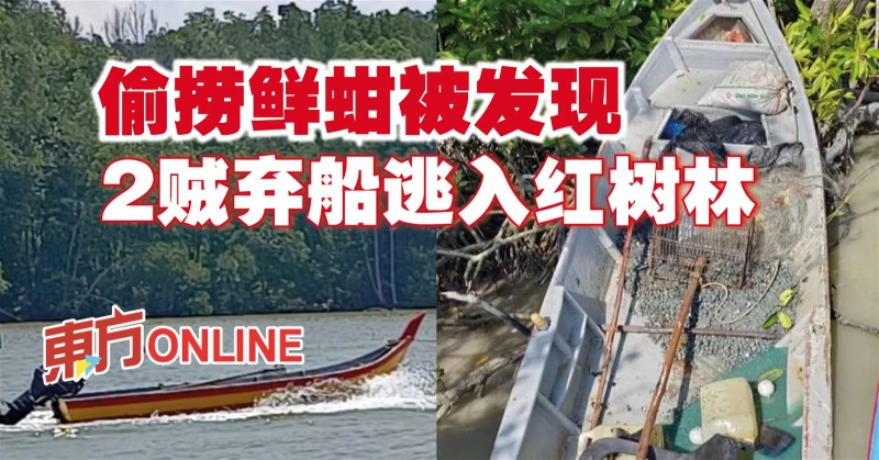 偷撈鮮蚶被發現　2賊棄船逃入紅樹林