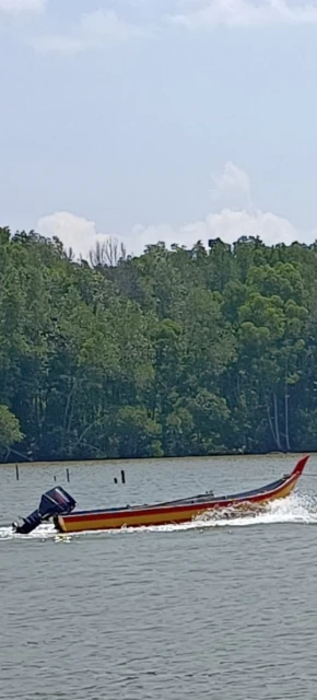 偷撈鮮蚶被發現　2賊棄船逃入紅樹林