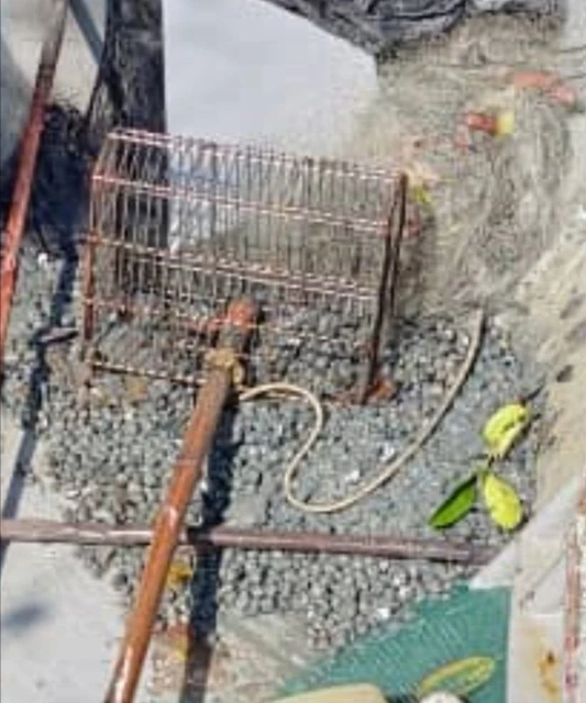 偷撈鮮蚶被發現　2賊棄船逃入紅樹林