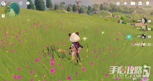 《原神》口袋錨點最佳使用位置分享
