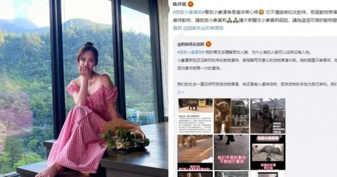 不忍小象「莫莉」受虐　陳喬恩痛心發聲吁拒絕動物表演