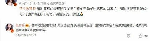 不忍小象「莫莉」受虐　陳喬恩痛心發聲吁拒絕動物表演