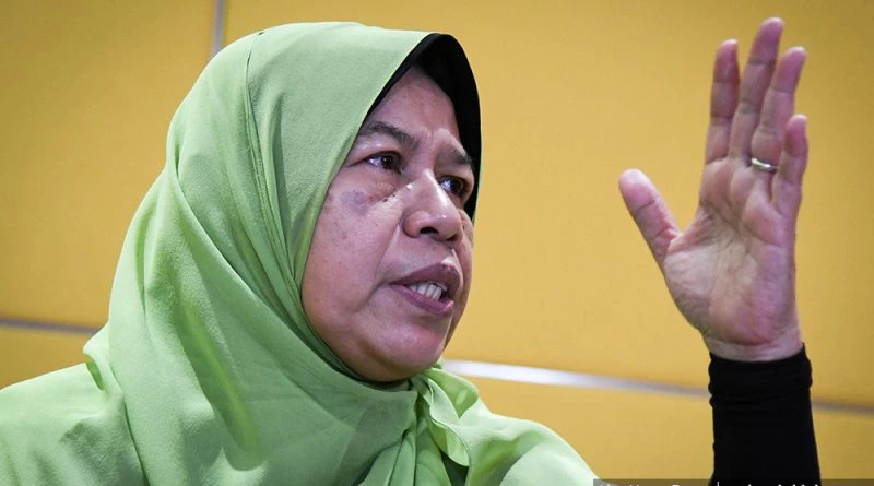 將向反棕油西方國家展示   祖萊達：大馬是不可被愚弄的