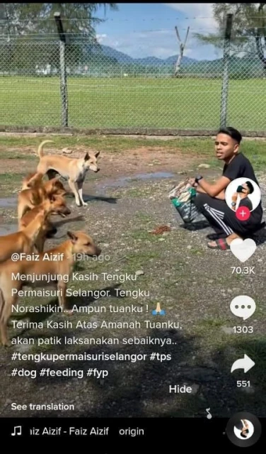 善心巫裔青年 買狗糧喂養流浪狗