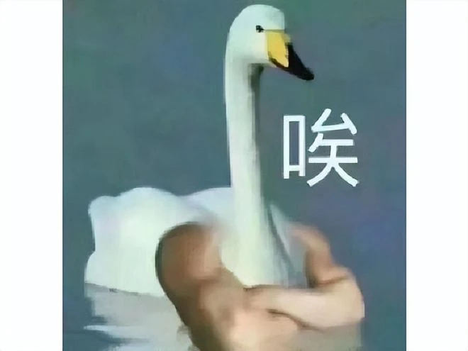 當年連CEO都不看好，玩家卻占韓國1/3人口，如今卻被計劃停運