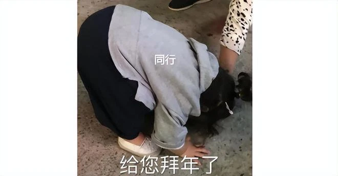 80後的網吧回憶，一觸即「死」的生化模式，14年被模仿從未被超越