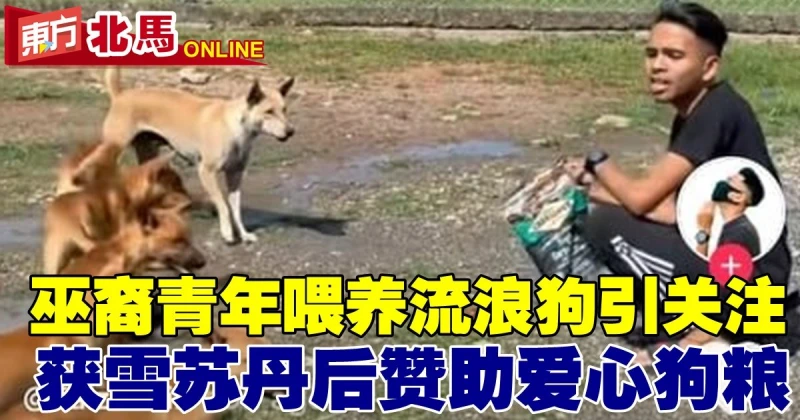 善心巫裔青年喂養流浪狗　獲雪蘇丹後贊助愛心狗糧