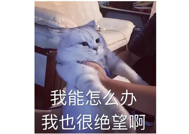 韓國遊戲為討好中國玩家有多拼？態度虔誠到離譜，一年大改三次