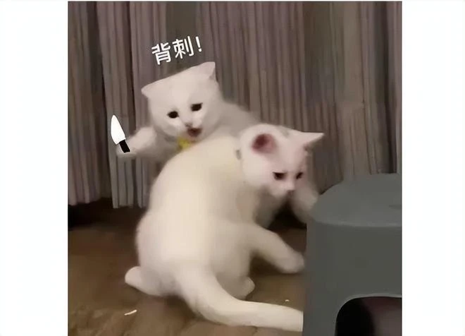 韓國遊戲為討好中國玩家有多拼？態度虔誠到離譜，一年大改三次