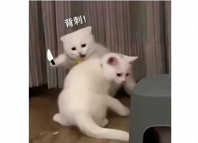 DNF之父野心之作，上線2月就掏出逆天改動，還把特色全刪了？