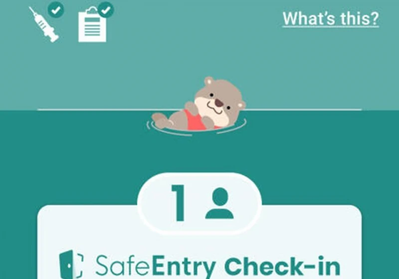 減少使用「合力追蹤」網民不舍小水獺　當初這隻水獺是怎麼來的？