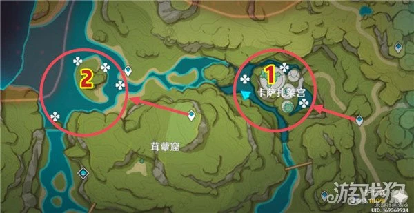 原神月蓮位置視頻 72個超密集快速採集線路