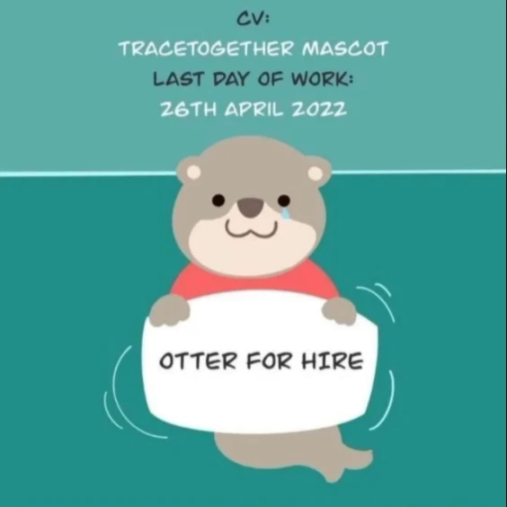 減少使用「合力追蹤」網民不舍小水獺　當初這隻水獺是怎麼來的？