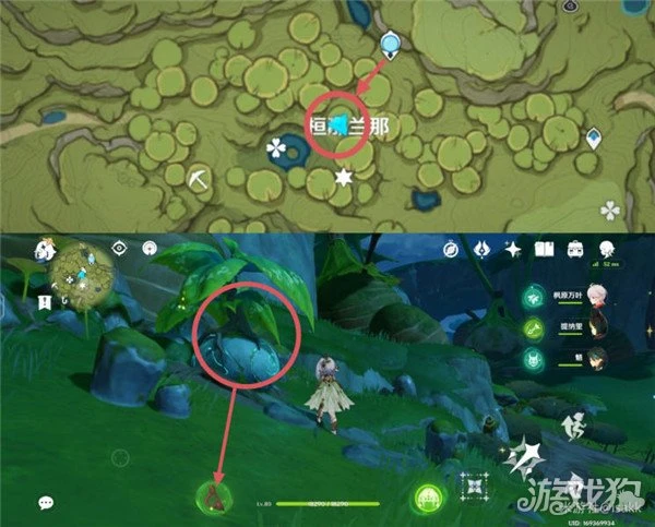 原神月蓮位置視頻 72個超密集快速採集線路