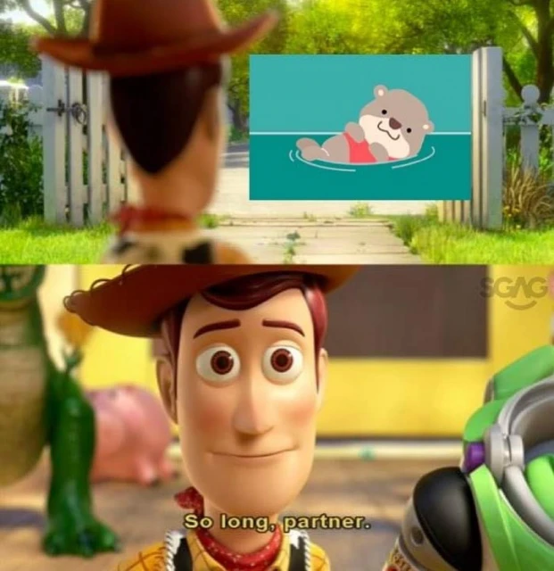 減少使用「合力追蹤」網民不舍小水獺　當初這隻水獺是怎麼來的？