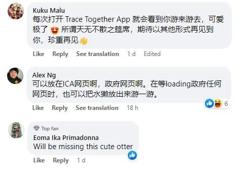 減少使用「合力追蹤」網民不舍小水獺　當初這隻水獺是怎麼來的？