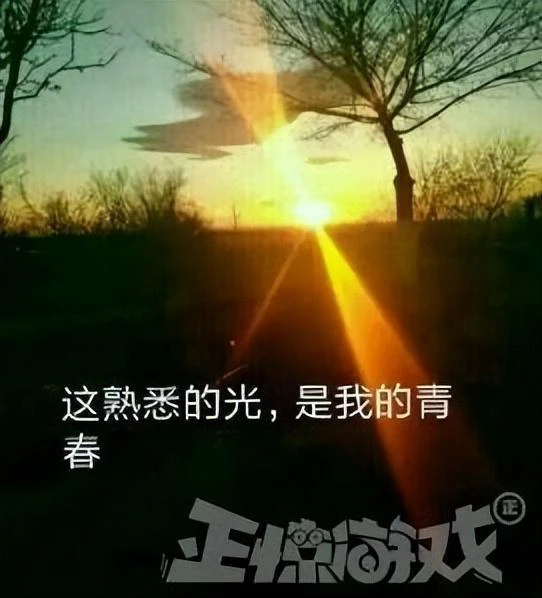 致敬街機黃金時代！極光計劃里這些高分遊戲，沒能熬過這個寒冬