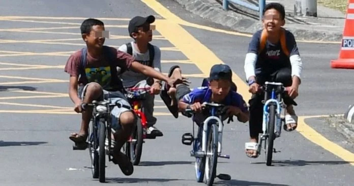 魏家祥不敢對付蚊型腳車? 交通部長痛批別有用心者