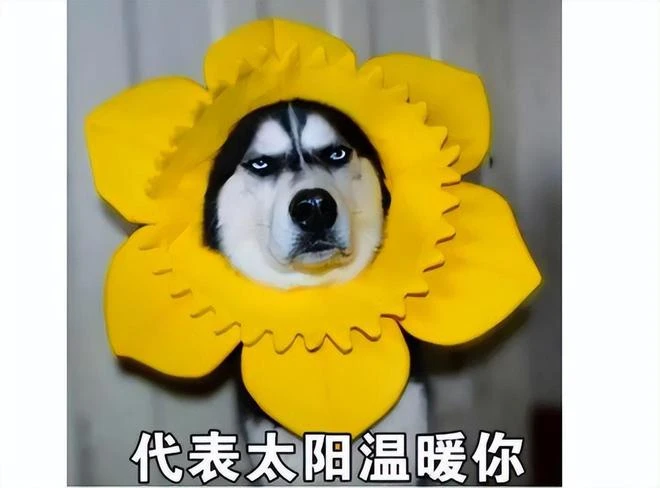 年末最後一搏！騰訊網易拿出壓箱底大招，端游新資料片井噴