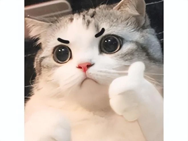 無數玩家爆肝幾千小時的遊戲，終於出手遊了，一看怎麼還是騰訊？