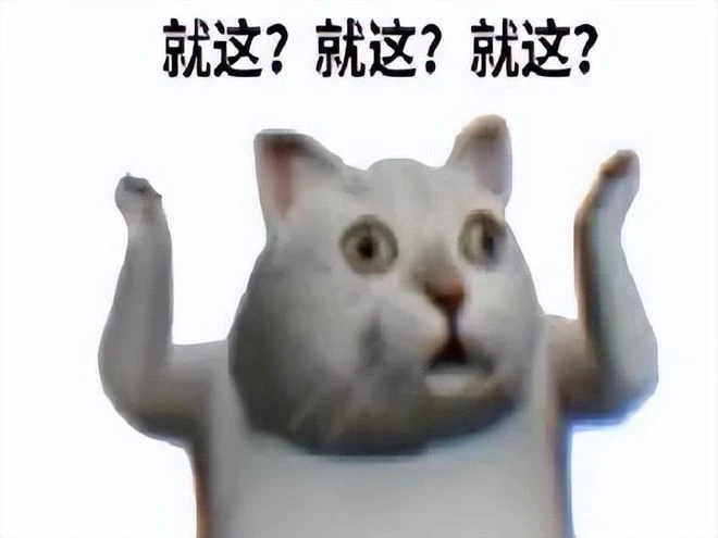 2022年度最爛的遊戲？買BUG送CG，開服即炸服六天就下架退款！