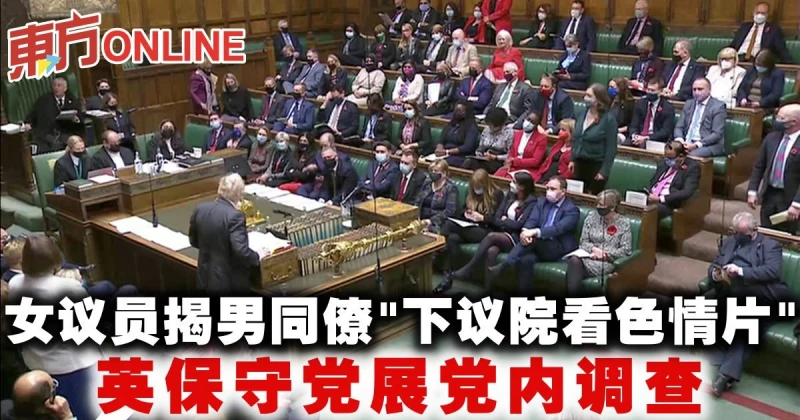 女議員揭男同僚「下議院看色情片」　英保守黨展黨內調查