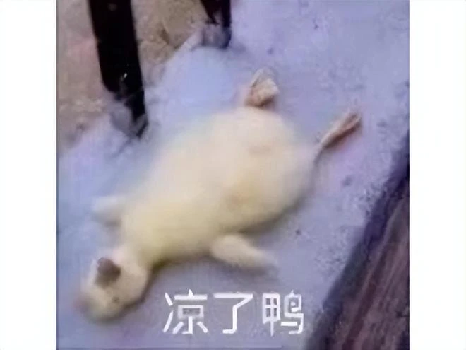 2022騰訊瘋狂停運遊戲？人氣超魔獸的億級老遊戲，最後還是被玩死