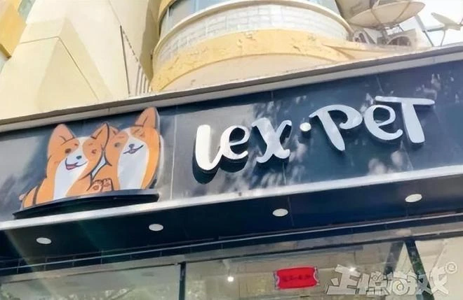 主播Lex被曝婚內出軌，直播時崩潰大哭，粉絲刷了7萬禮物安慰他？