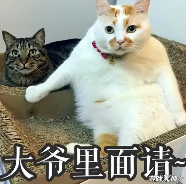 天選對手？《永恆之塔》13年里，竟遇到兩次《魔獸》停運！