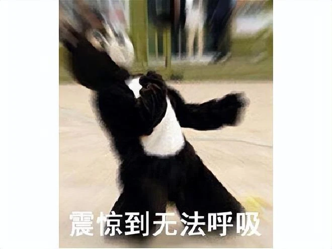 動視暴雪又搞砸了？20多年的經典IP，天選開局結果一年多就涼？