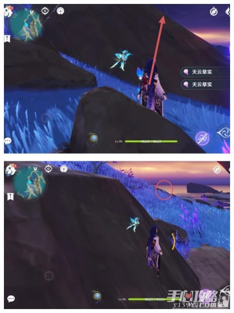 《原神》3.3版天雲草實快速收集路線