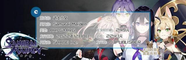 《武士少女》的陰陽兩面——金玉其外，敗絮其中