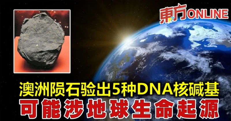 澳洲隕石驗出5種DNA核鹼基　可能涉地球生命起源