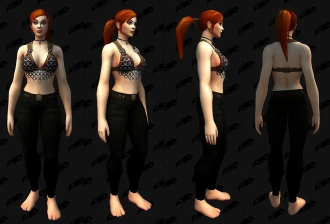 暴雪年終總結公開，新玩家超5000萬，嘉年華已經安排上了