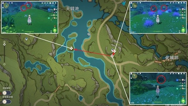 原神須彌草晶蝶收集線路推薦