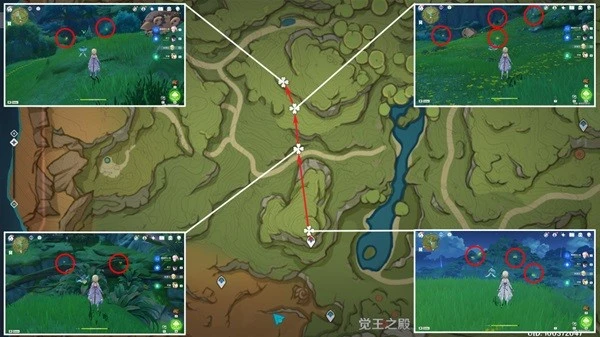 原神須彌草晶蝶收集線路推薦