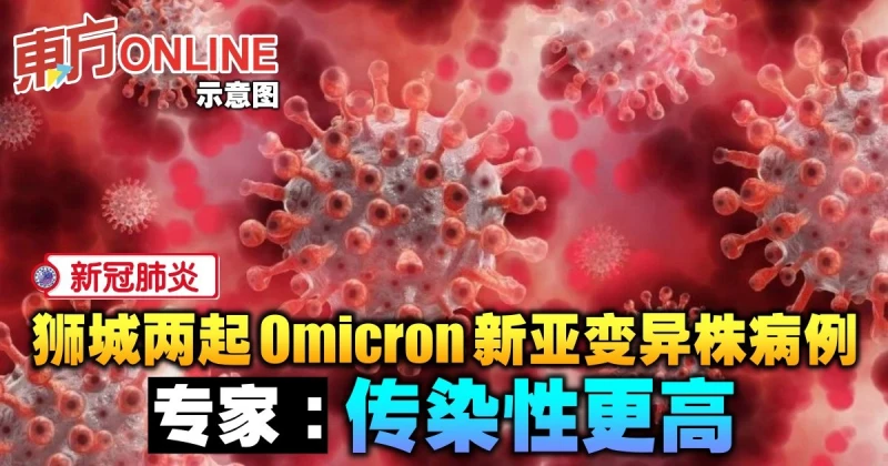 獅城兩起Omicron新亞變異株病例　專家：傳染性更高