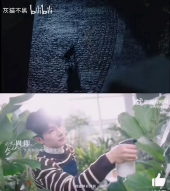 這款讓人當「備胎」的女性向遊戲，激怒了無數女玩家