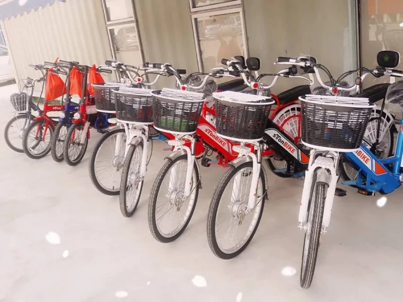 禁微型交通工具上路　商家生意受重挫恐虧百萬