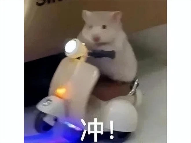 比人類更懂澀澀？首款AI繪圖紳士遊戲，視覺衝擊太刺激！